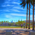 How different is tampa from miami?