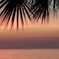 Why is it called tampa bay?